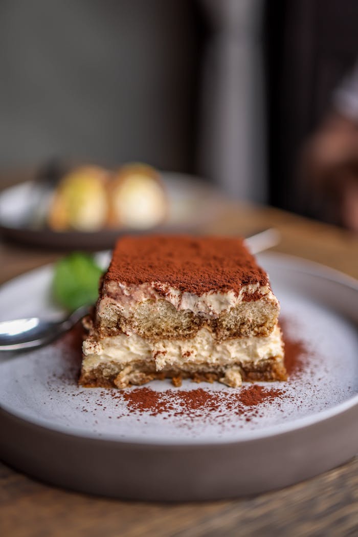 A piece of tiramisu on a plate